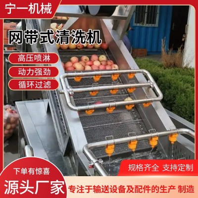 全自動(dòng)氣泡清洗機(jī)多功能果蔬噴淋式洗菜機(jī)不銹鋼網(wǎng)帶式果蔬清洗機(jī)