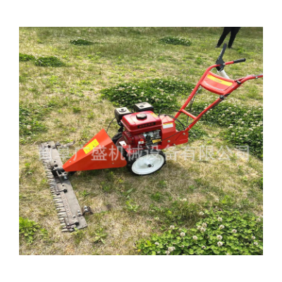 汽油小型手推剪草機(jī) 農(nóng)用碎草機(jī) 自動(dòng)割草機(jī)