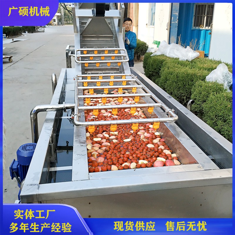全自動(dòng)氣泡葡萄清洗機(jī) 無花果清洗設(shè)備 大棗蘋果桃子清洗機(jī)器