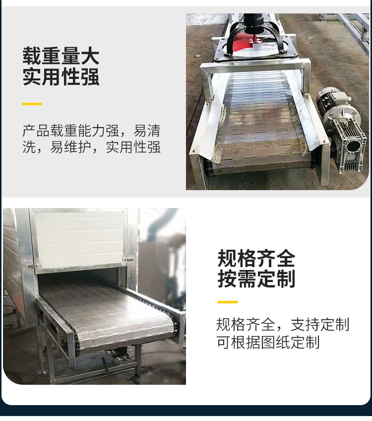 鏈板輸送機(jī)_10.jpg