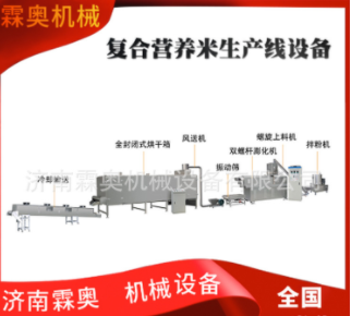 霖奧 RN70速食自熱米飯加工機器 人造復合營養(yǎng)大米生產(chǎn)線