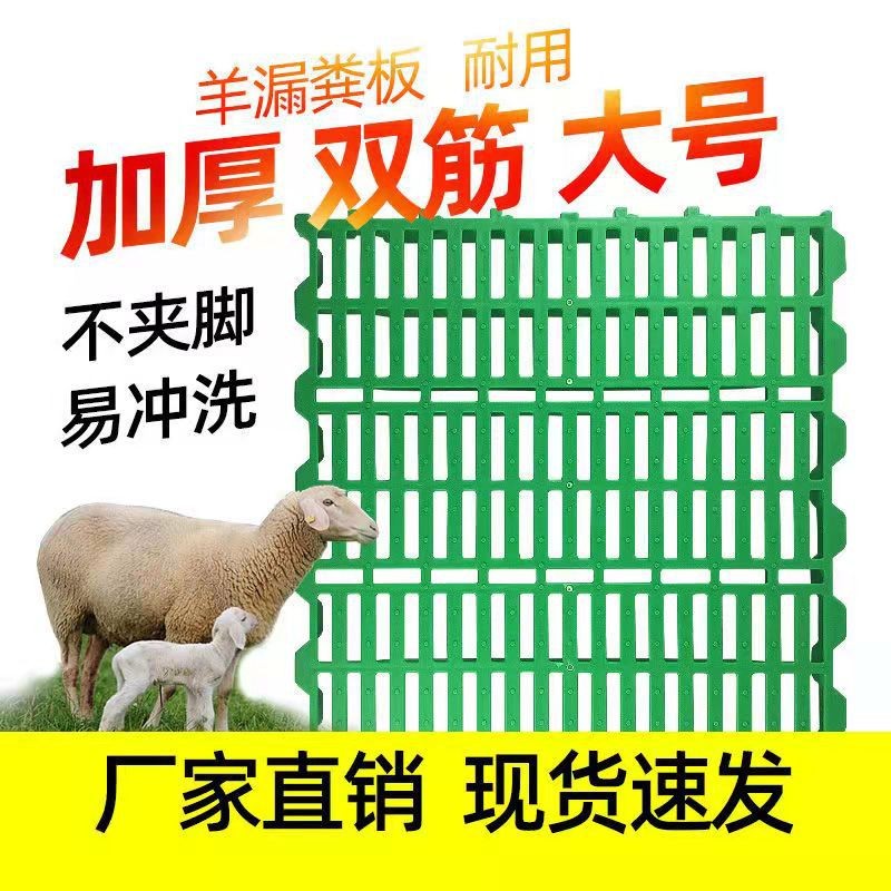 60*60羊用漏糞板廠家批發(fā)羊床板豬羊漏糞板羊舍糞板 塑料羊糞板