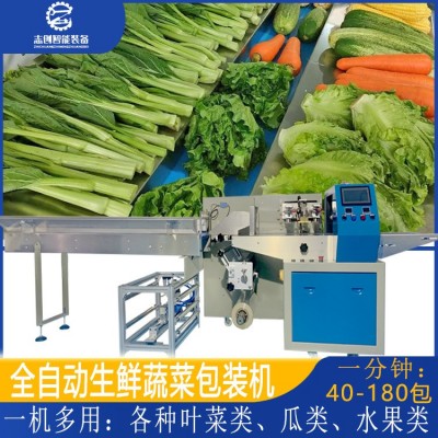 工廠現(xiàn)貨全自動蔬菜包裝機(jī) 豆芽胡蘿卜香蕉套袋打包機(jī) 水果包裝機(jī)