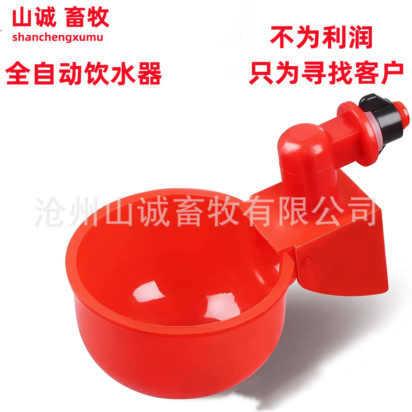 新型雞鴨鵝自動飲水碗飲水器喂鴿子水碗鳥飲水器鵪鶉家禽養(yǎng)殖設(shè)備