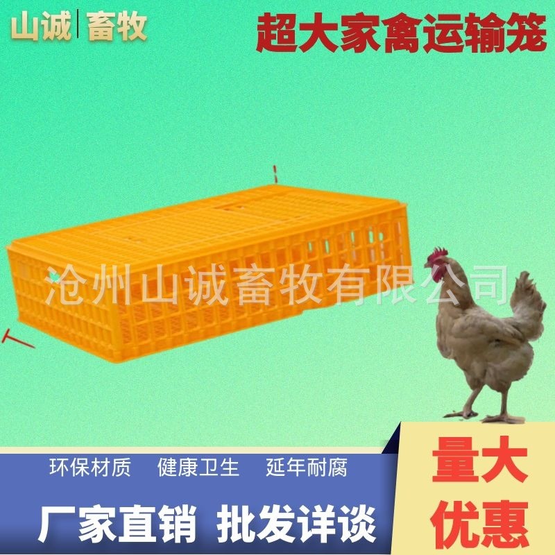 加長加厚成雞籠 家用雞鴨鵝周轉(zhuǎn)箱 特大號運(yùn)輸籠塑料籠矮鴿鵪鶉籠
