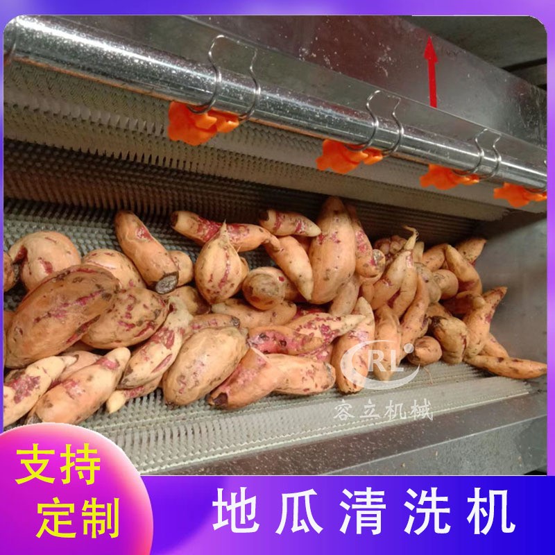 現(xiàn)貨毛刷清洗機 輥刷式土豆胡蘿卜清洗去泥機 全自動紅薯清洗機