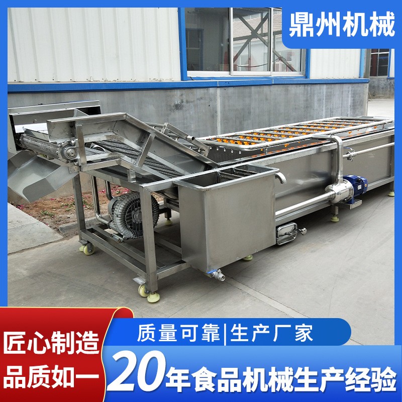 全自動凈菜加工成套設(shè)備 果蔬氣泡清洗機(jī) 瓜果西紅柿去泥清洗機(jī)