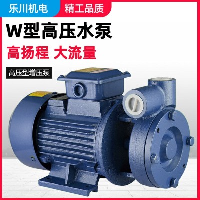 廠家批發(fā)W型直聯(lián)式臥式漩渦泵管道增壓泵高壓泵鍋爐給水補水泵