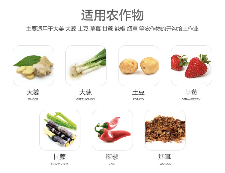 詳情圖片_12.jpg