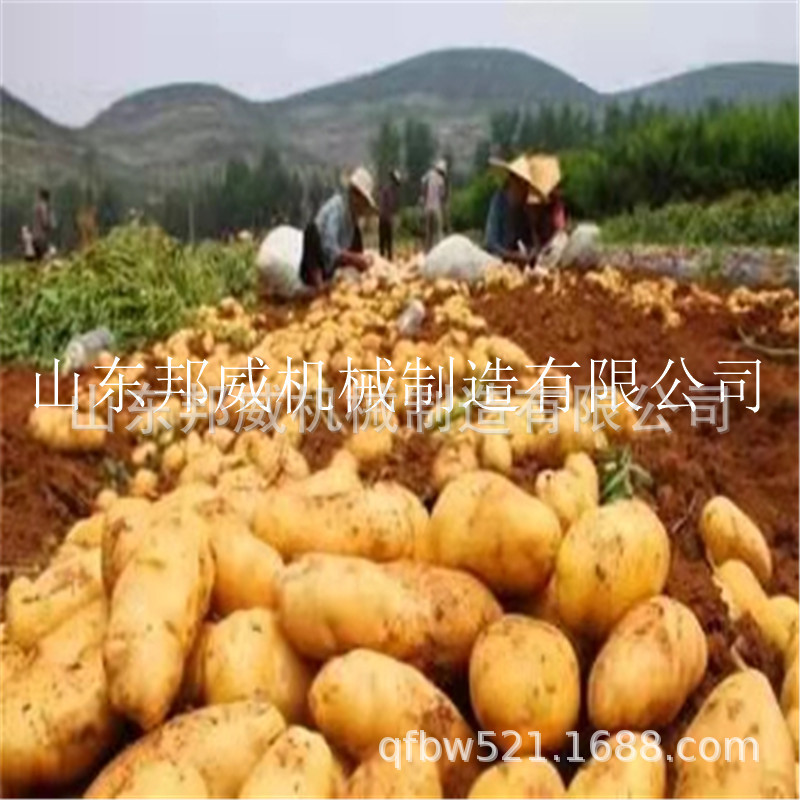 實景圖0.jpg