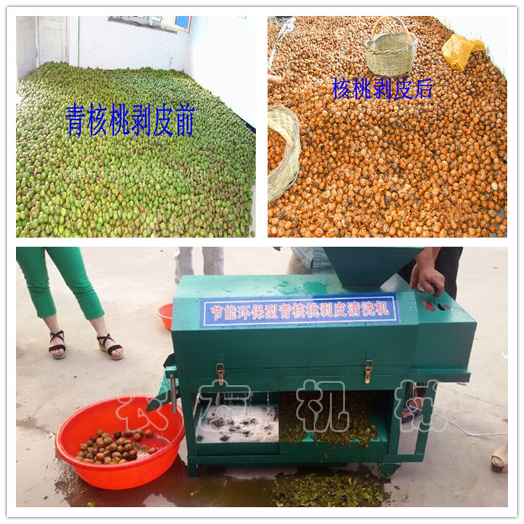 核桃機(jī) 小型 內(nèi)部結(jié)構(gòu)_副本