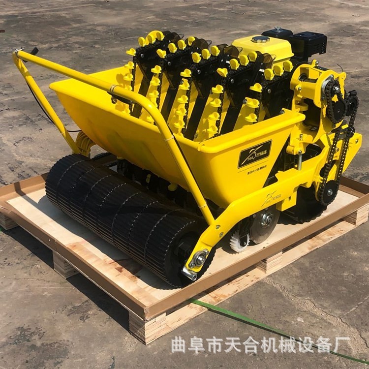 操作簡(jiǎn)便 手推汽油大蒜行播種機(jī) 零故障質(zhì)量可靠 德意播國(guó)貨精品