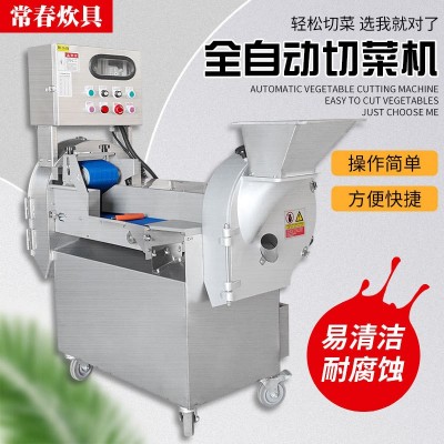 廠(chǎng)家銷(xiāo)售多功能雙頭切菜機(jī)商用切菜機(jī)大頭球莖果蔬數(shù)控切菜機(jī)