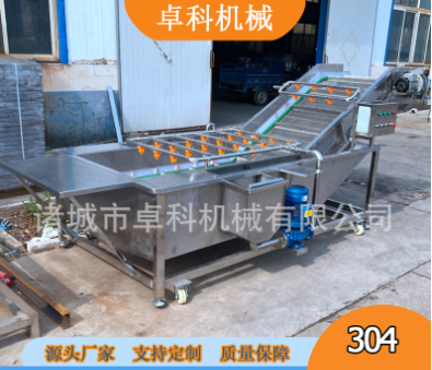 果蔬清洗機水果蔬菜渦流氣泡洗菜機土豆蘿卜清洗機商用臭氧洗菜機