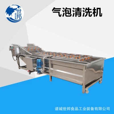 蔬菜清洗機(jī)葉類菜全自動氣泡流水像草莓生姜清洗設(shè)備