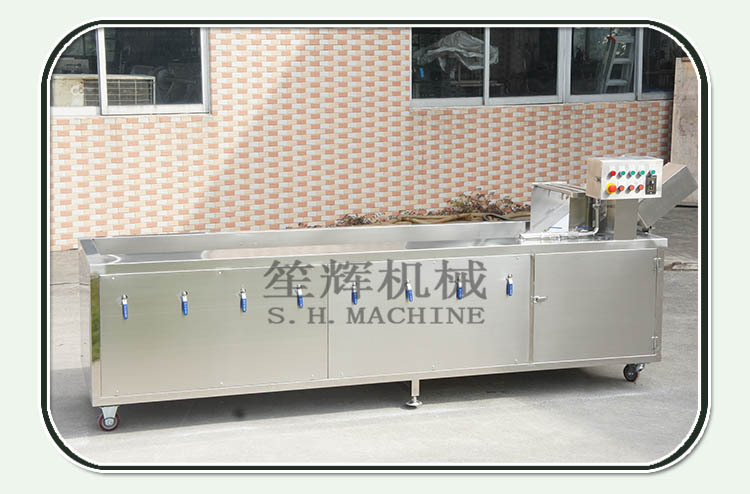 笙輝批發(fā) 汽泡清洗機洗果機大棗果蔬清洗機 供貨商