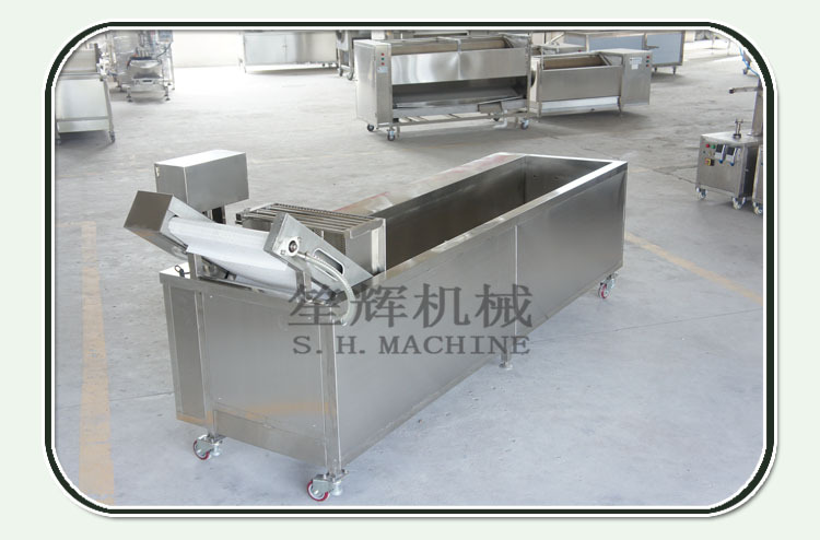 笙輝批發(fā) 汽泡清洗機洗果機大棗果蔬清洗機 供貨商