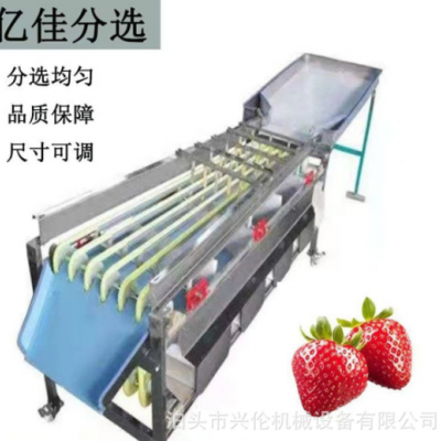 檳郎分級機(jī)冬棗篩選機(jī)橄欖分揀機(jī)山楂篩果機(jī)獼猴桃分選機(jī)