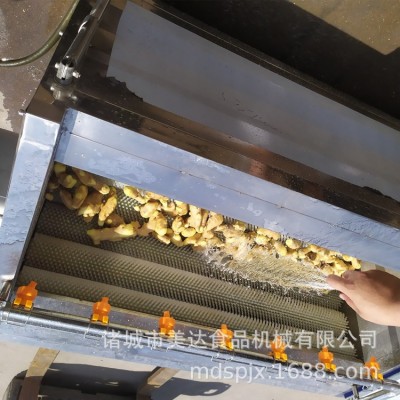 商用 果蔬去皮清洗機 全自動毛輥毛刷土豆芋頭去皮清洗設(shè)備機