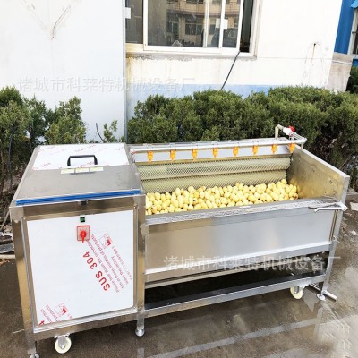 自動(dòng)清洗去泥機(jī) 毛輥去皮機(jī) 毛刷清洗機(jī) 根莖類(lèi)清洗加工設(shè)備型號(hào)