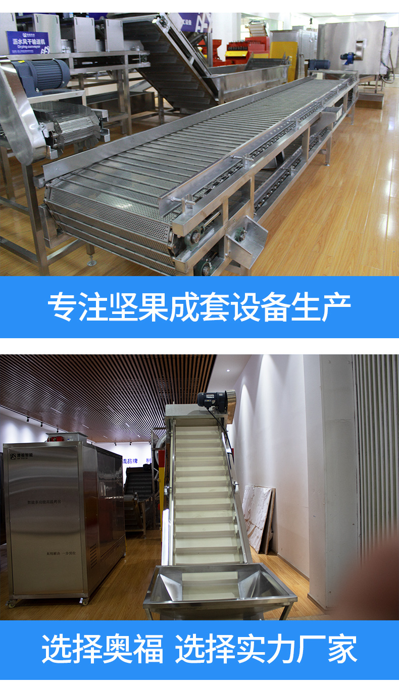 堅(jiān)果清洗提升機(jī)_10.jpg