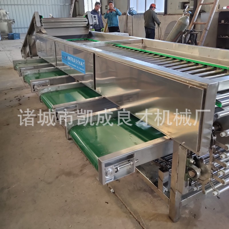 果蔬分選機(jī) 大小水果分級(jí)機(jī) 柑桔火龍果選果機(jī)