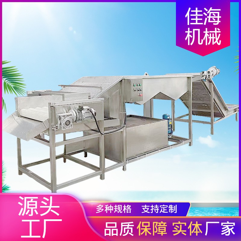 大型生姜清洗設(shè)備 地瓜噴淋式氣泡清洗機(jī) 大姜洋蔥果蔬清洗設(shè)備