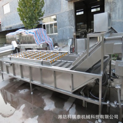 香菇木耳氣泡清洗機(jī)蘋(píng)果橘子果蔬清洗機(jī)清洗解凍冷卻線(xiàn)