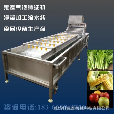 小香蔥氣泡清洗機(jī) 韭菜去農(nóng)殘專(zhuān)用清洗機(jī) 芹菜清洗流水線(xiàn)