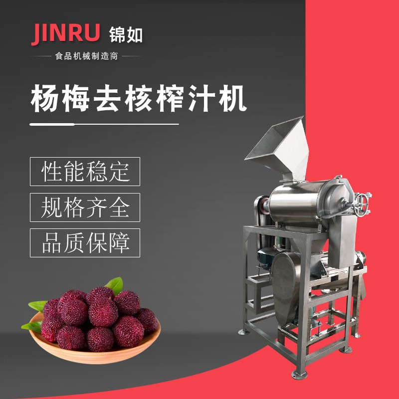 楊梅去核螺旋榨汁機(jī)組 水果榨汁飲料設(shè)備
