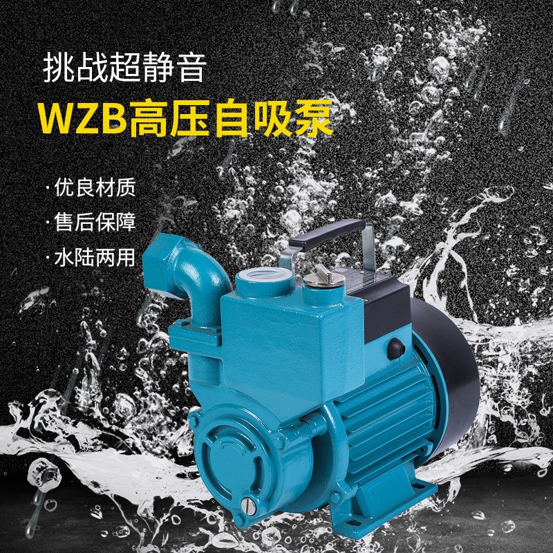 水泵家用自來水自吸增壓泵全自動(dòng)靜音220v高揚(yáng)程水井抽水泵定制