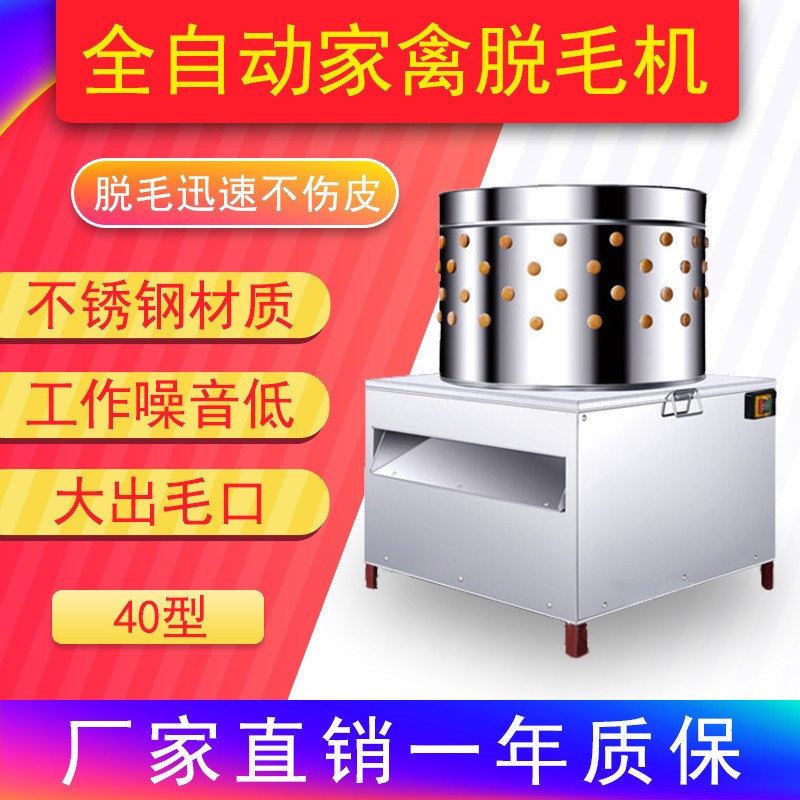 不銹鋼家禽脫毛機(jī)40型大小鳥類鴿子鵪鶉雞鴨鵝電動(dòng)打毛機(jī)廠家直銷