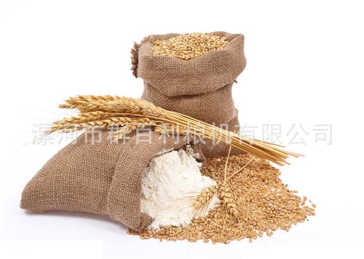 小麥背景圖