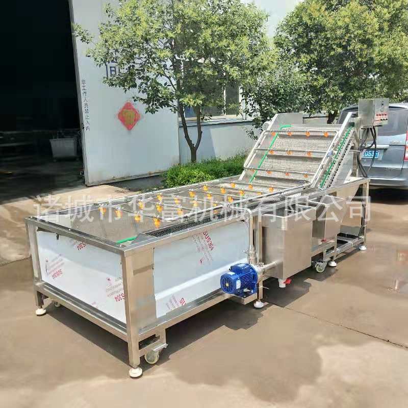 商用果蔬網(wǎng)帶氣泡清洗機 板栗堅果加工去雜設備 噴淋式凈菜流水線