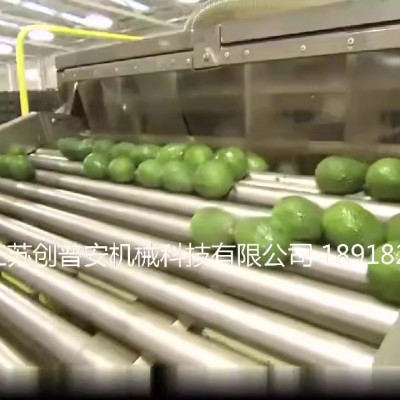 鱷梨牛油果泥果醬果油提取加工生產(chǎn)線設(shè)備機械