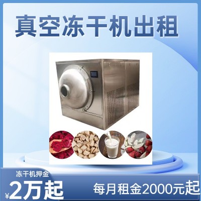 出租30平真空凍干機(jī) 蔬菜干食品類設(shè)備 FD低溫凍干機(jī)線
