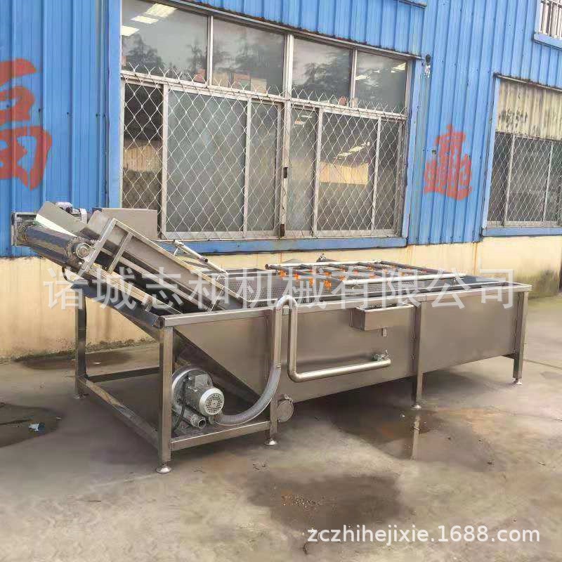 廠家直供翻浪清洗機 蔬菜水果氣泡清洗機 中藥材清洗設備