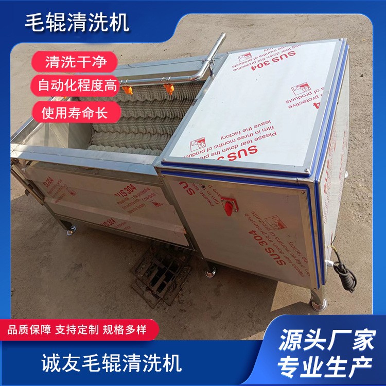 全自動商用毛輥清洗機(jī) 土豆大姜紅薯去皮清洗設(shè)備