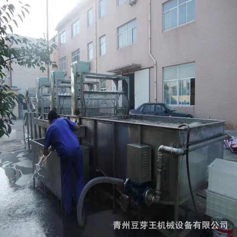 綠豆芽清洗機(jī)
