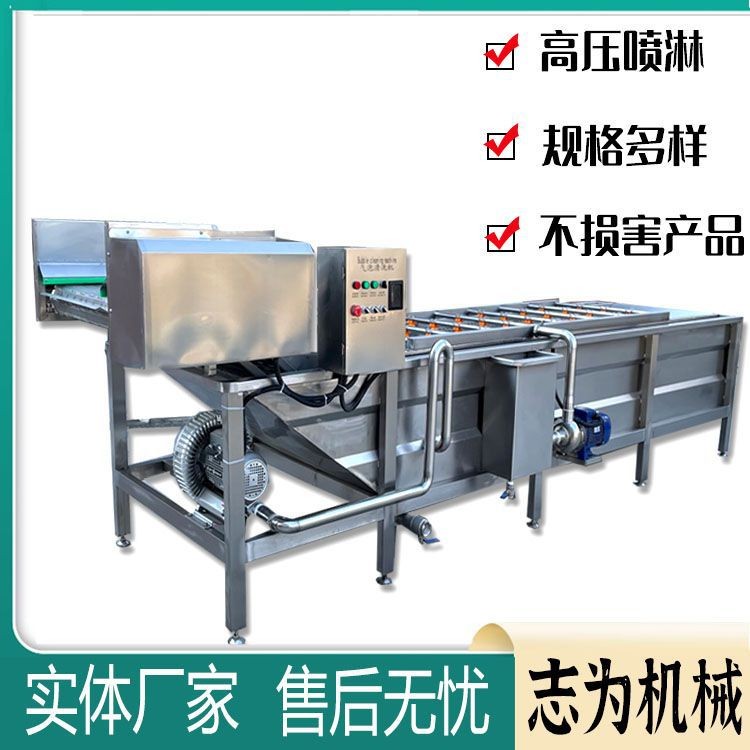 全自動氣泡清洗機(jī) 黃花菜大棗蘋果清洗機(jī) 大型商用辣椒清洗機(jī)設(shè)備