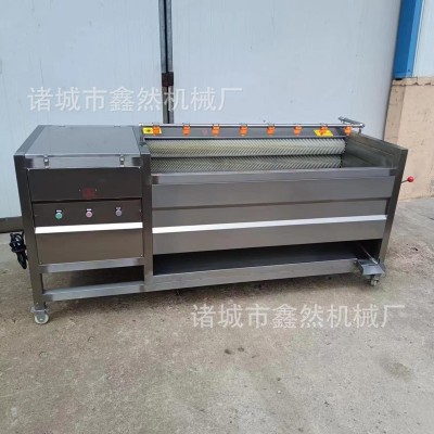 全自動土豆去皮清洗機(jī)胡蘿卜毛輥清洗設(shè)備蓮藕去皮清洗機(jī)