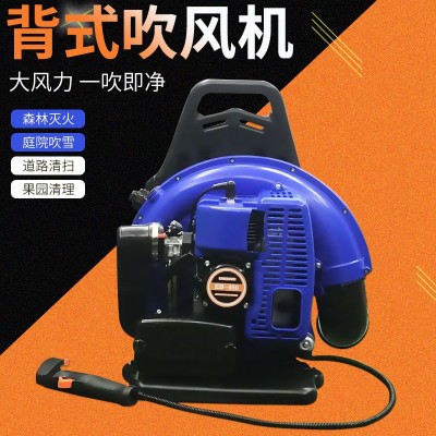 新款燃油吹風機農(nóng)業(yè)背負式大棚吹雪機大功率滅火清理道路廠家批發(fā)