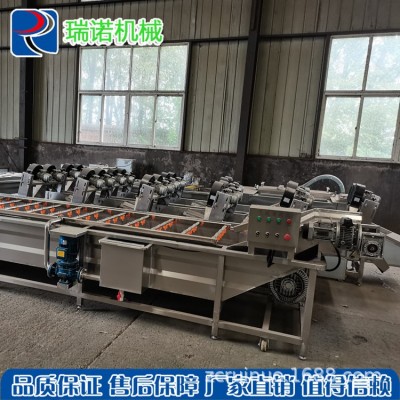定制氣泡清洗流水線 全自動(dòng)氣泡噴淋式果蔬清洗機(jī) 凈菜加工設(shè)備