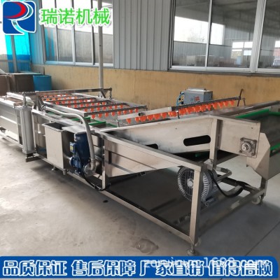 廠家直供不銹鋼果蔬清洗機(jī) 氣泡沖浪噴淋清洗機(jī) 廚房?jī)舨饲逑淳€