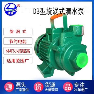 供應(yīng)凌波牌1DB-35旋渦式清水泵臥式單相微型家用清水泵質(zhì)優(yōu)價(jià)廉