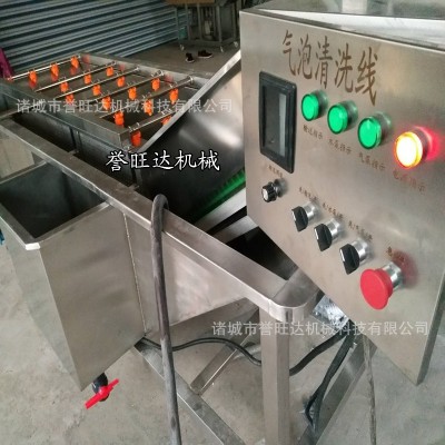 蘋果梨子橙子清洗風(fēng)干設(shè)備 山竹去螞蟻氣泡清洗機 高壓噴淋清洗機