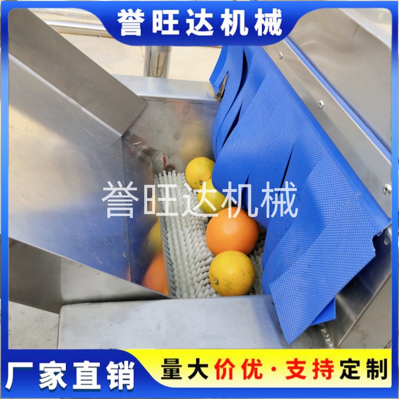 山竹橙子清洗機(jī) 自動(dòng)鼓泡水果清洗機(jī) 小型打蠟分級風(fēng)干洗臍橙機(jī)