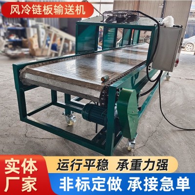 不銹鋼風(fēng)冷鏈板輸送機(jī)食品果蔬冷卻運輸流水線不銹鋼鏈板傳送帶