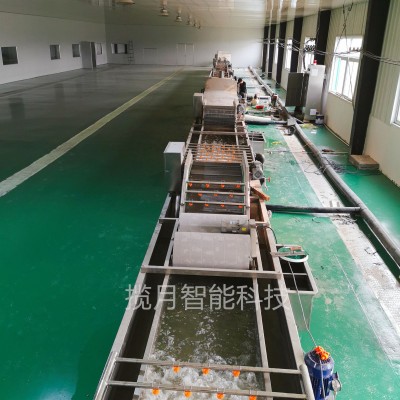 多功能臭氧去農(nóng)殘洗菜機 預制菜加工設備 果蔬清洗機