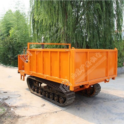 服務(wù)周到履帶式運(yùn)輸車 牽引力大帶式運(yùn)輸車
